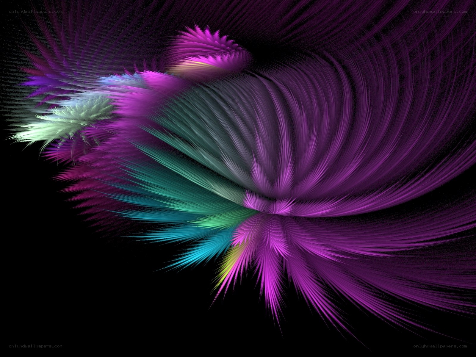 vibrant fractal feather design