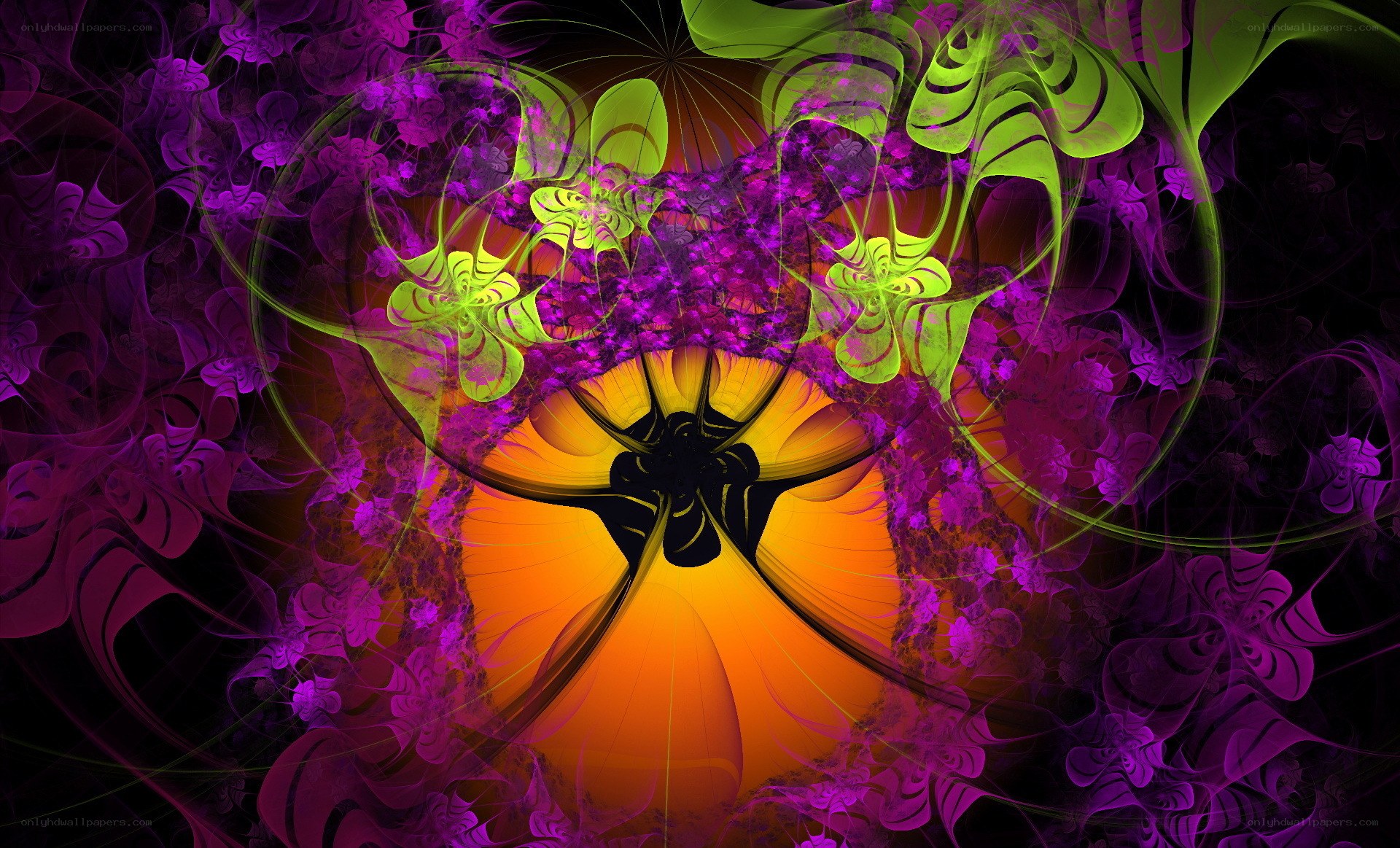 vibrant fractal floral design