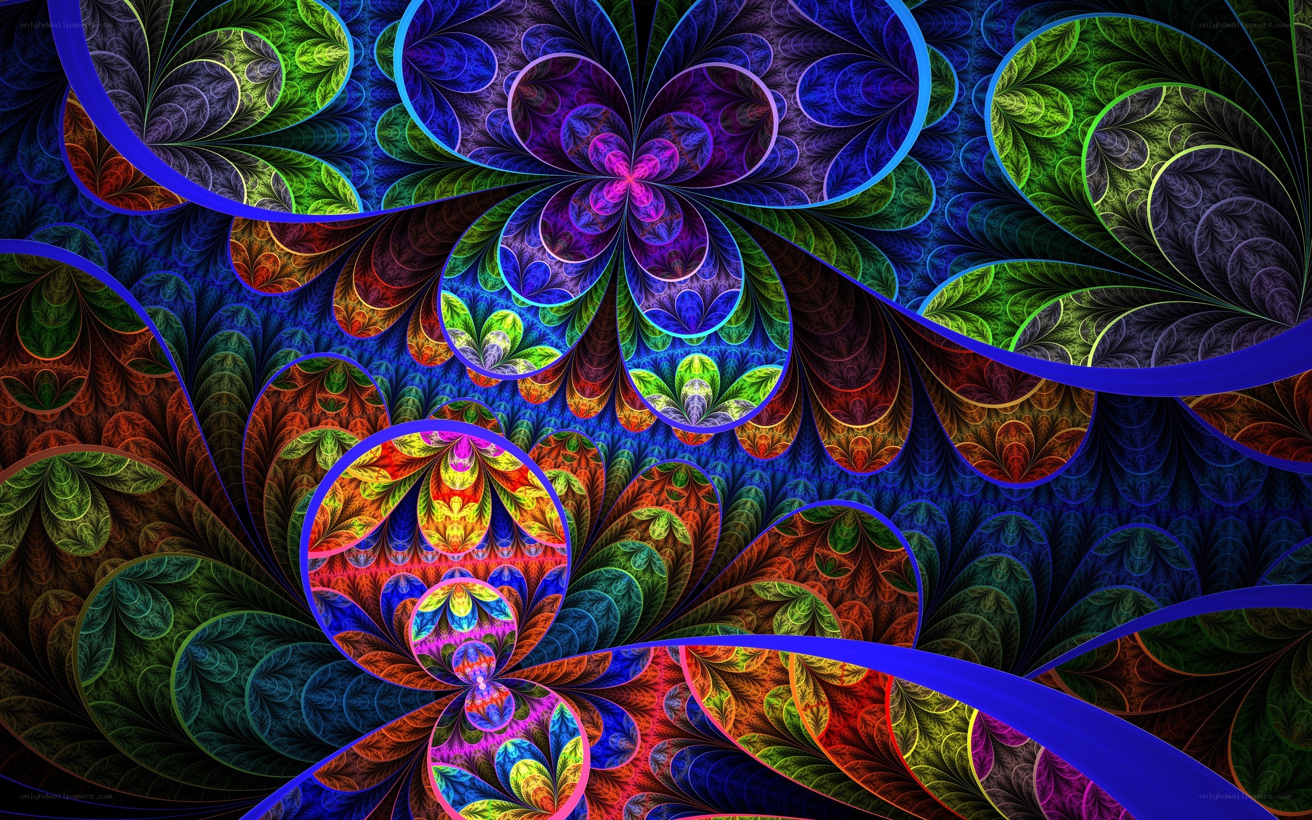 vibrant fractal floral pattern