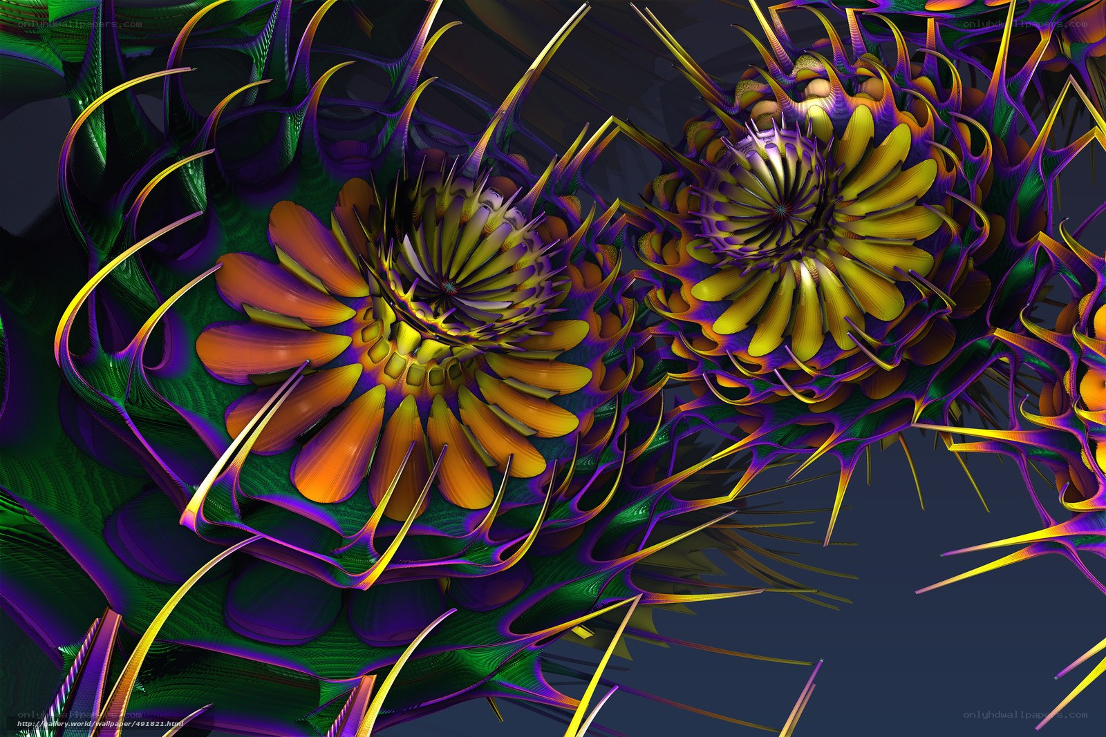 Vibrant fractal floral patterns