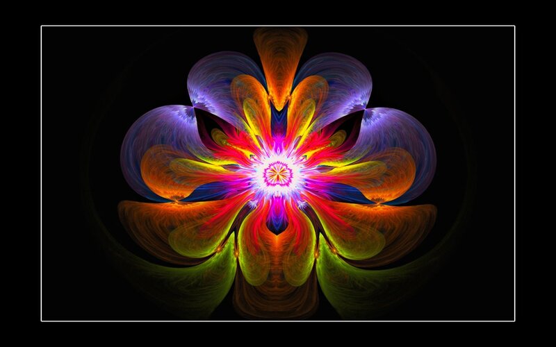vibrant fractal flower