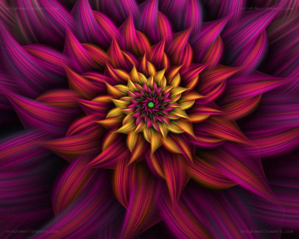 vibrant fractal flower