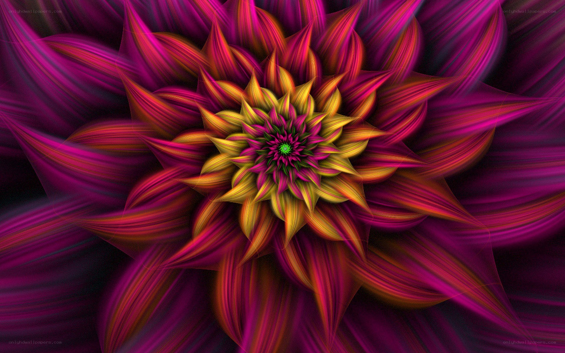 vibrant fractal flower