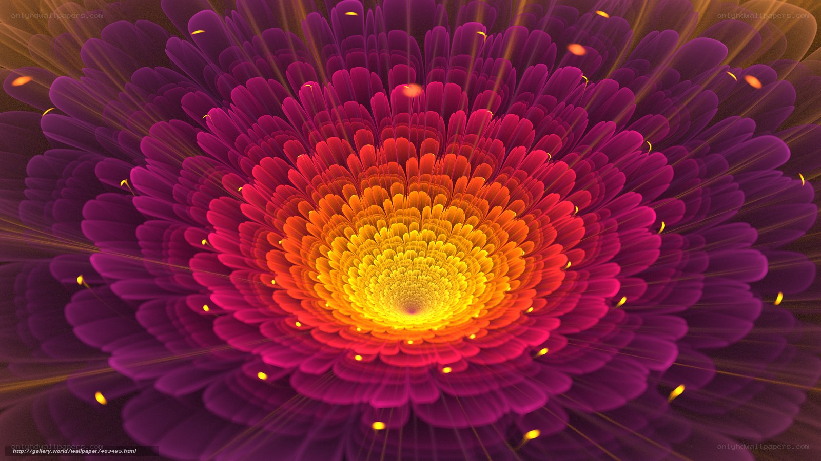 Vibrant fractal flower bloom