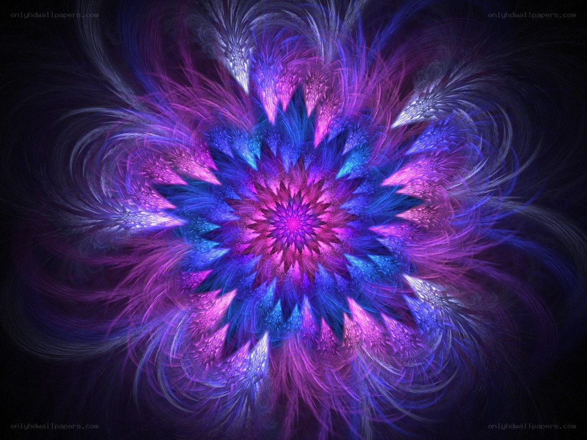 vibrant fractal flower design