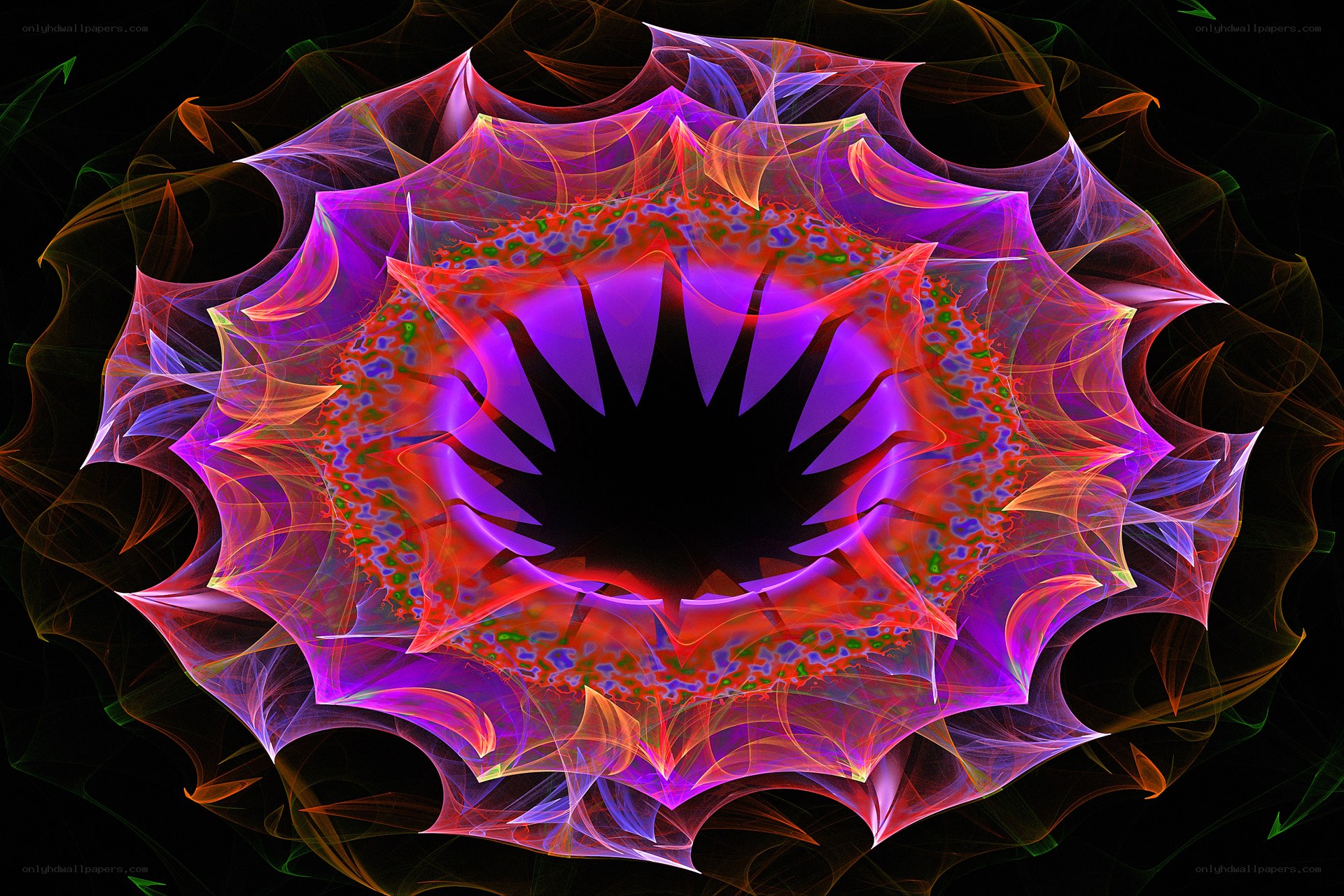 Vibrant fractal flower design