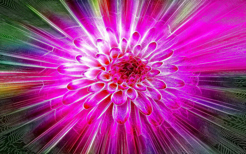 vibrant fractal flower explosion