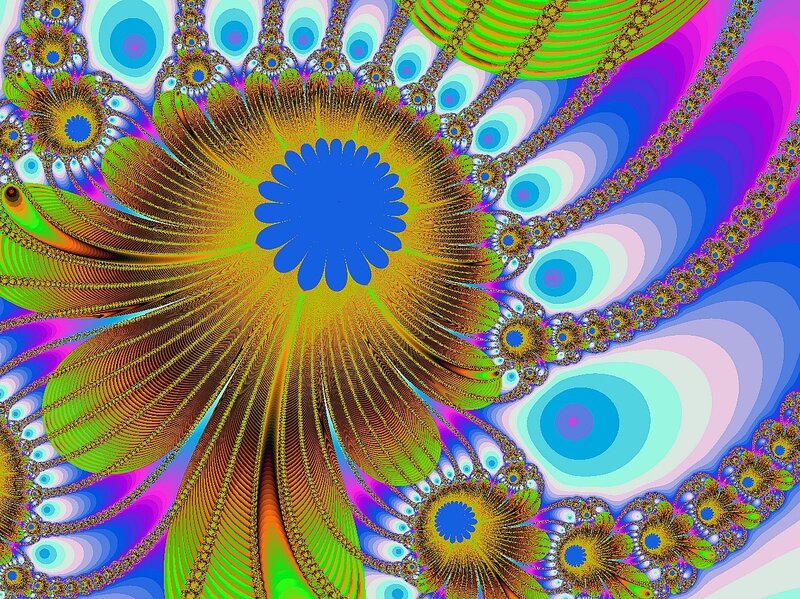 vibrant fractal flower pattern