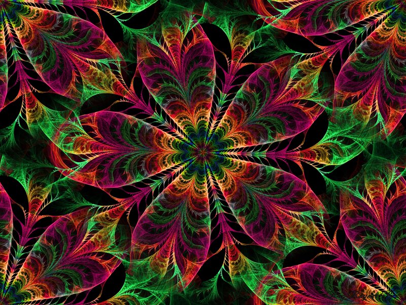 vibrant fractal flower pattern