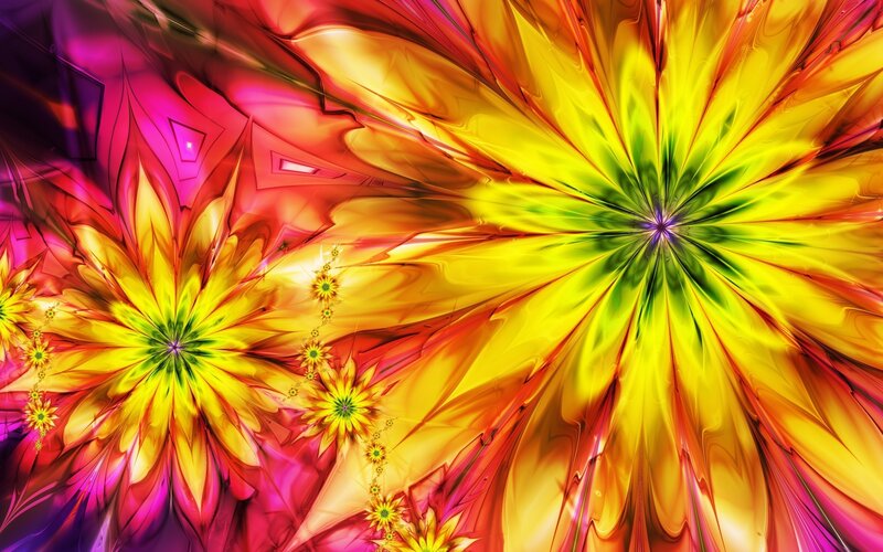 vibrant fractal flower patterns