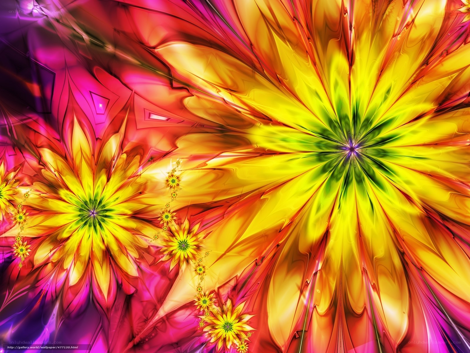 vibrant fractal flower patterns