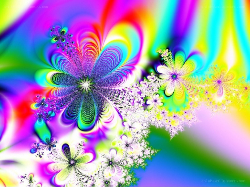 vibrant fractal flower patterns