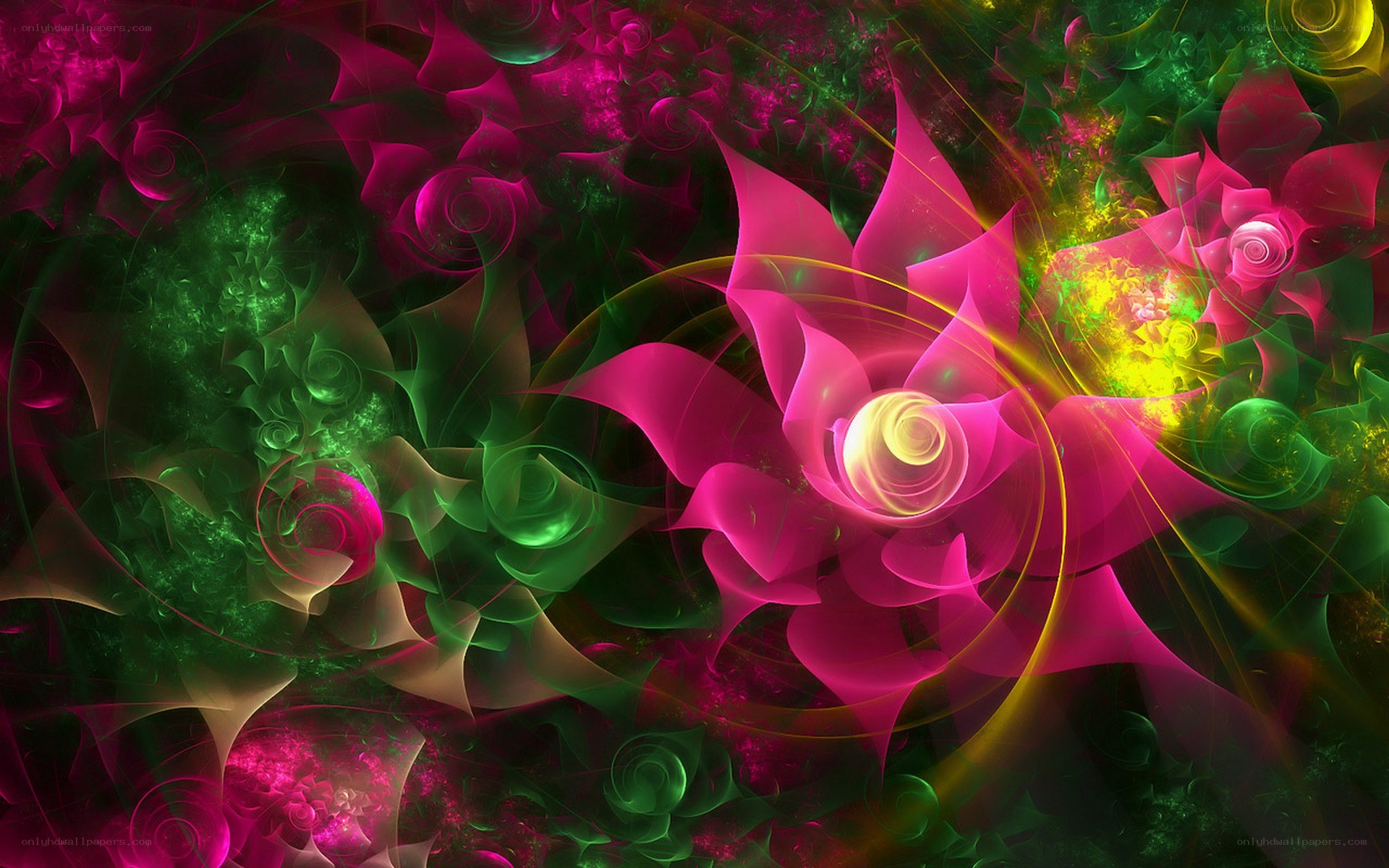 vibrant fractal flower patterns