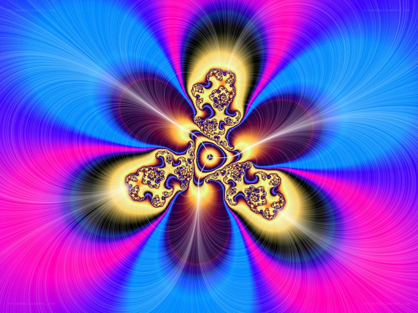 Vibrant fractal flower