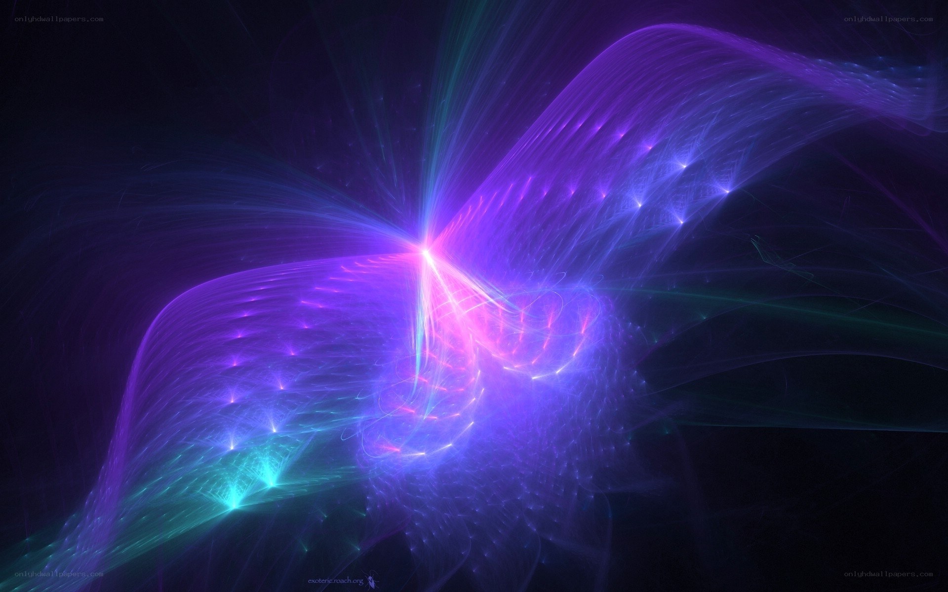 vibrant fractal light design