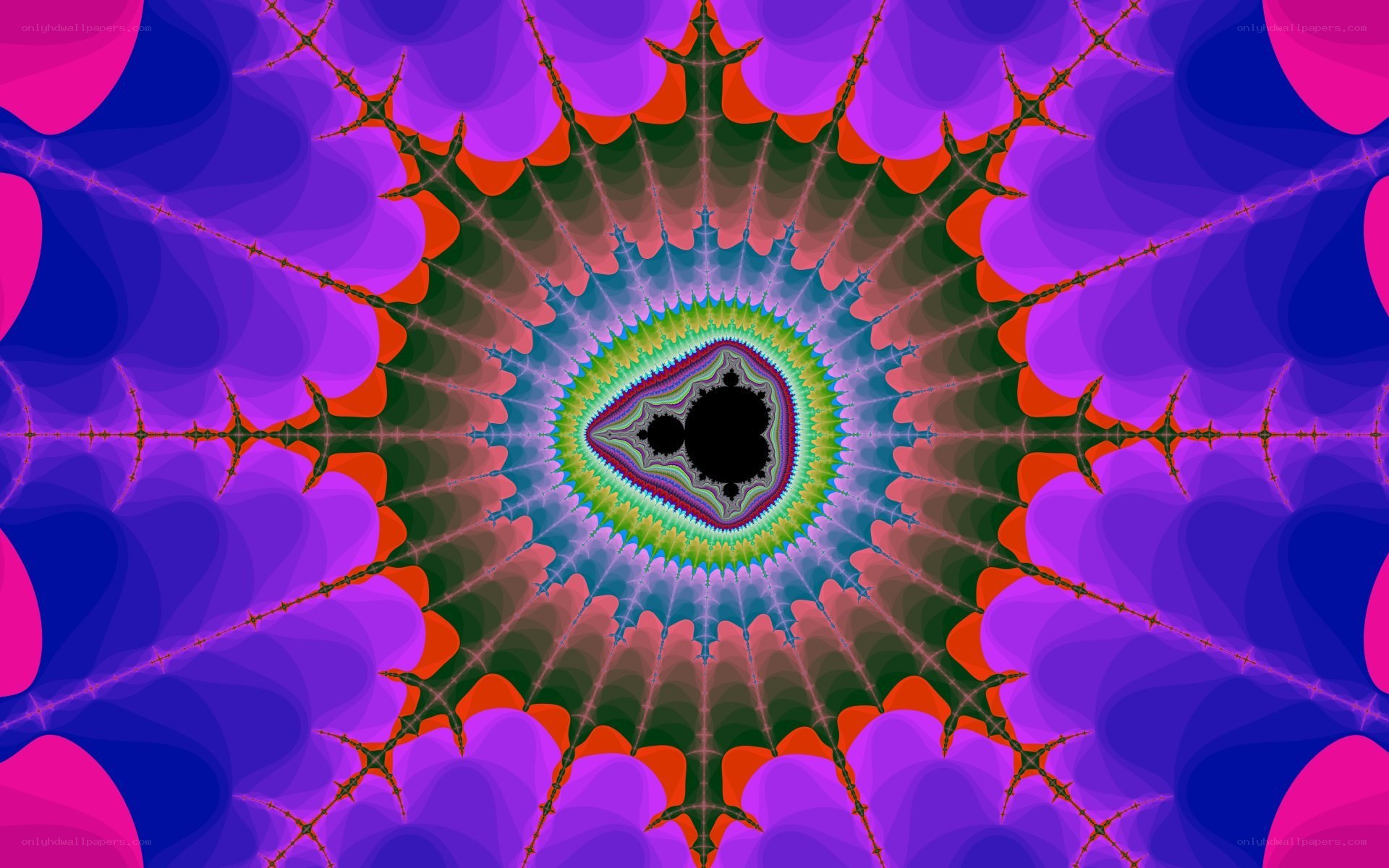 vibrant fractal pattern