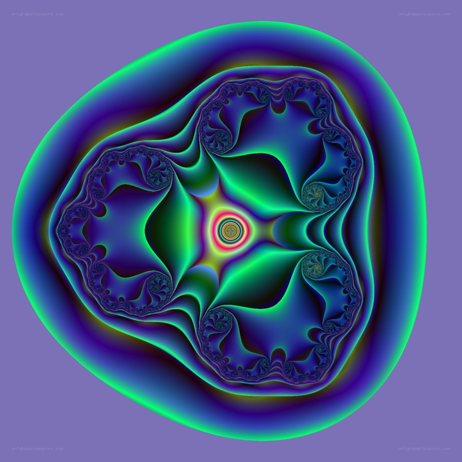 vibrant fractal pattern