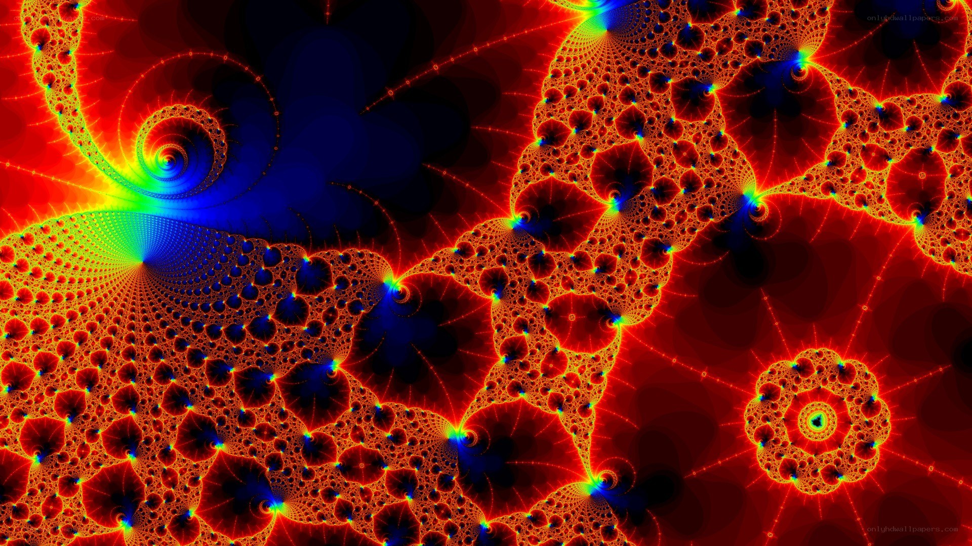 vibrant fractal pattern
