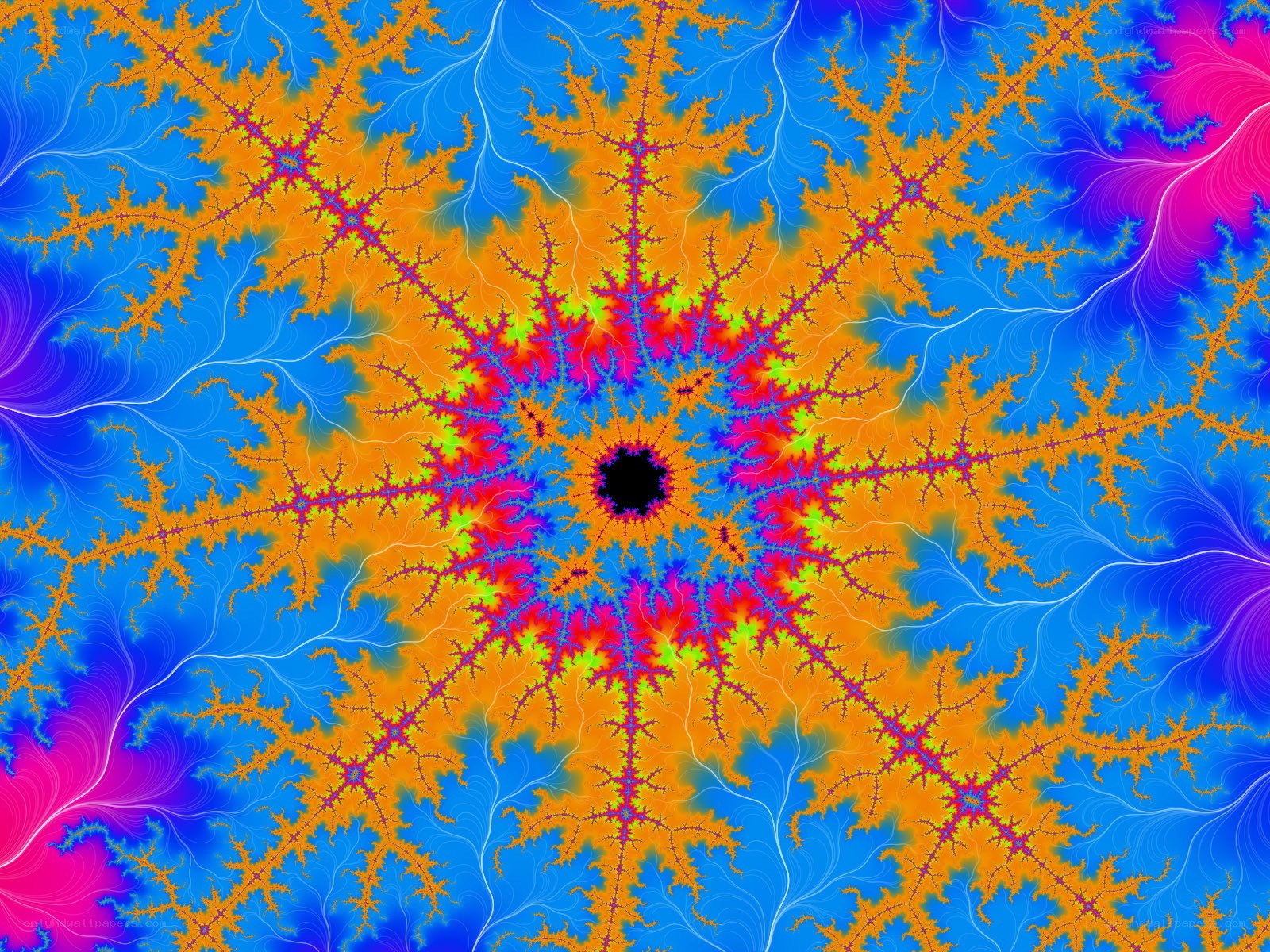 vibrant fractal pattern