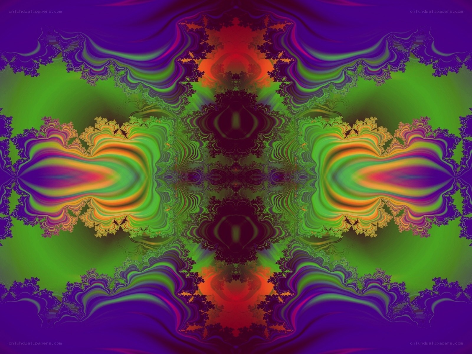 vibrant fractal pattern