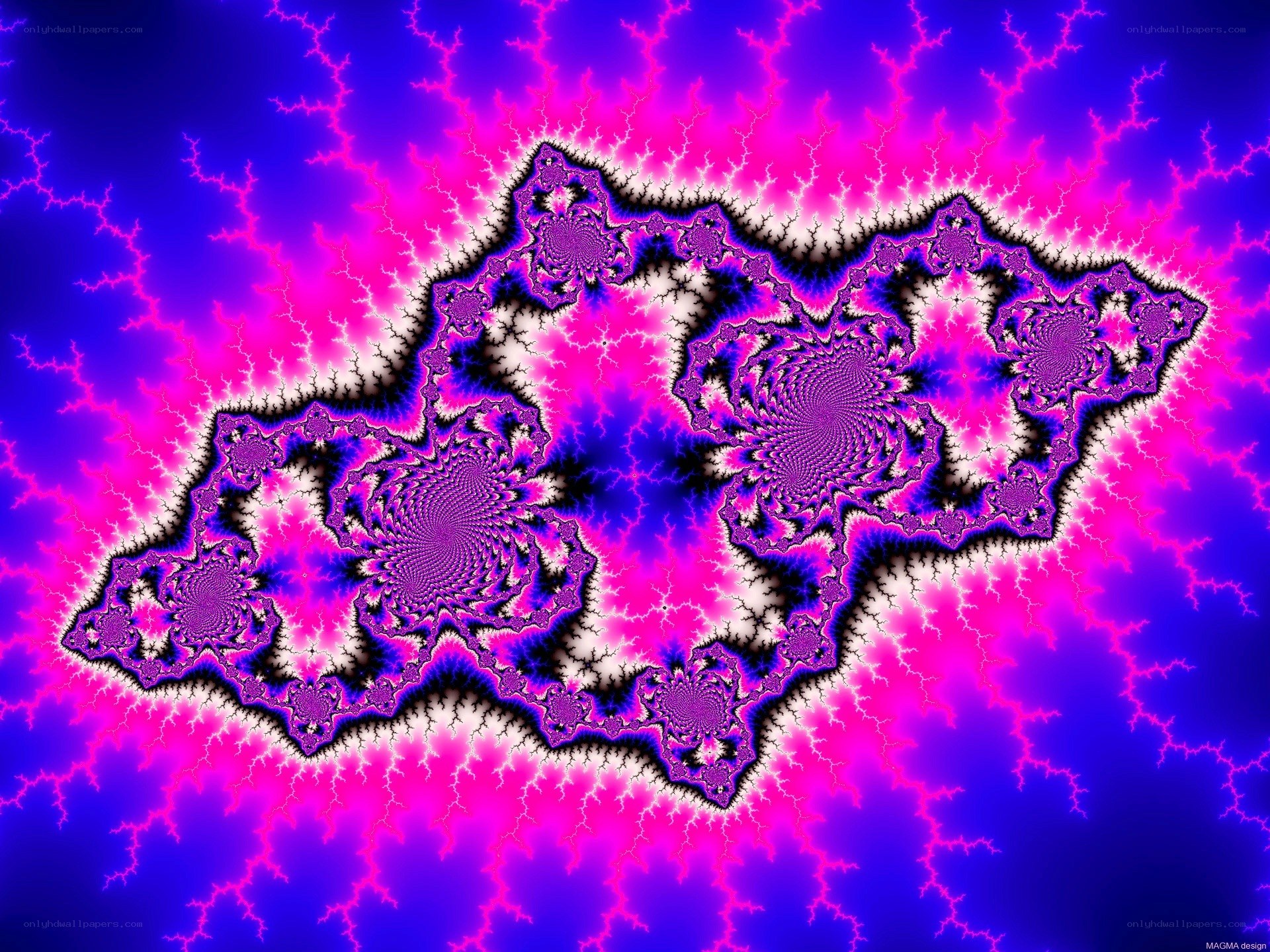 vibrant fractal pattern
