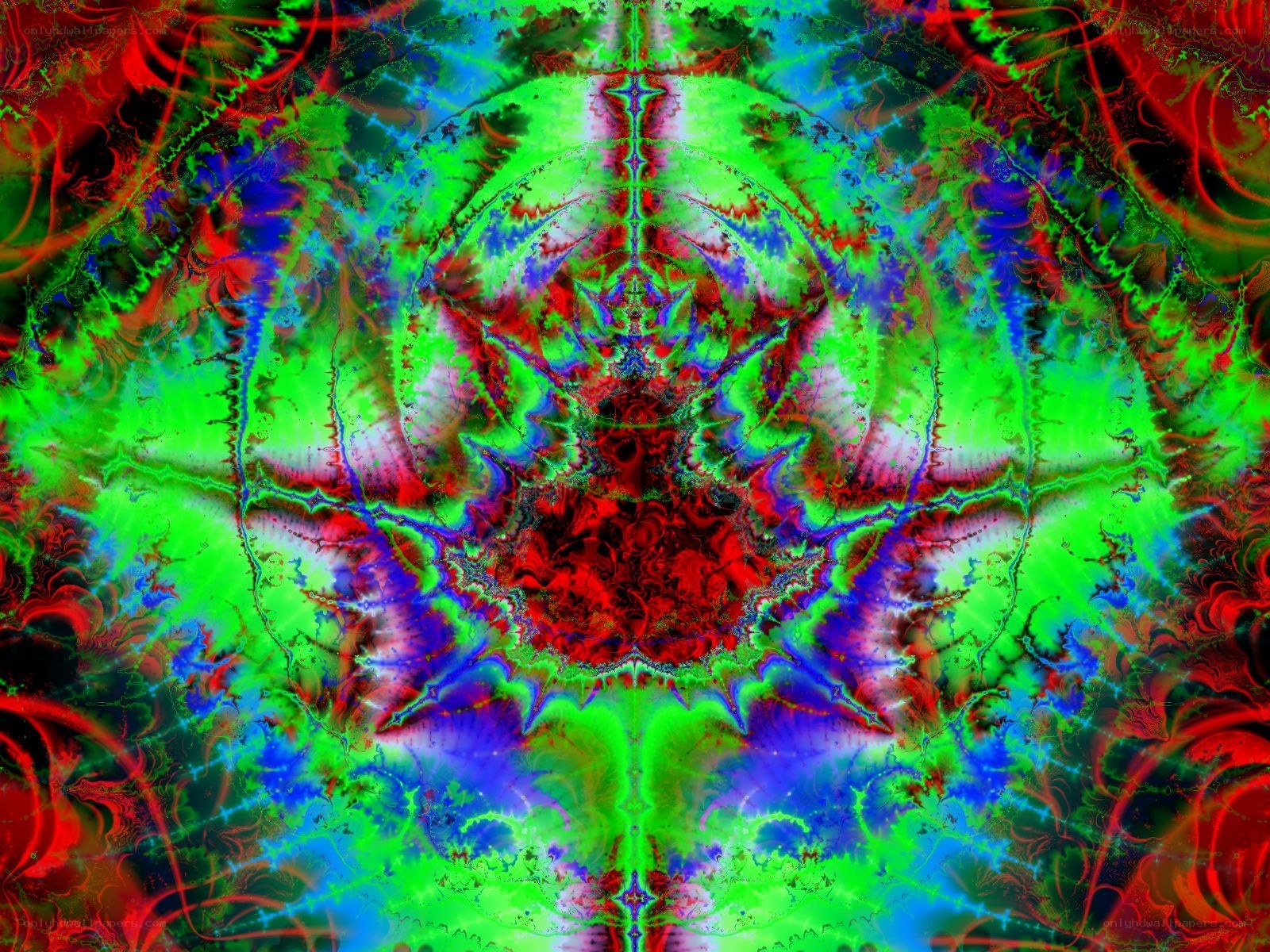 vibrant fractal pattern