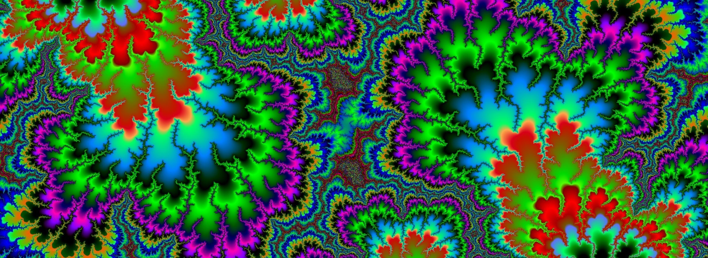 vibrant fractal pattern