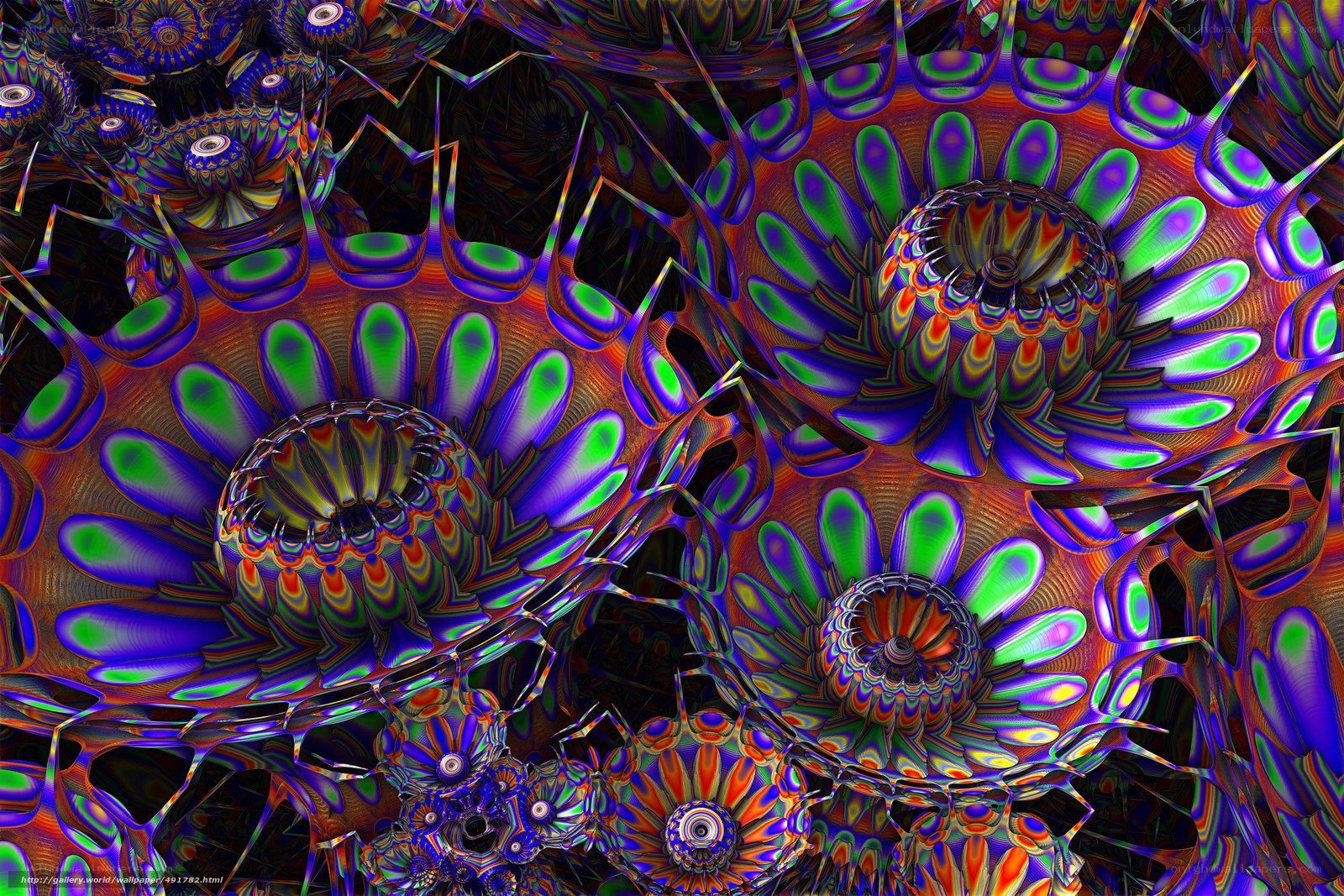 vibrant fractal patterns