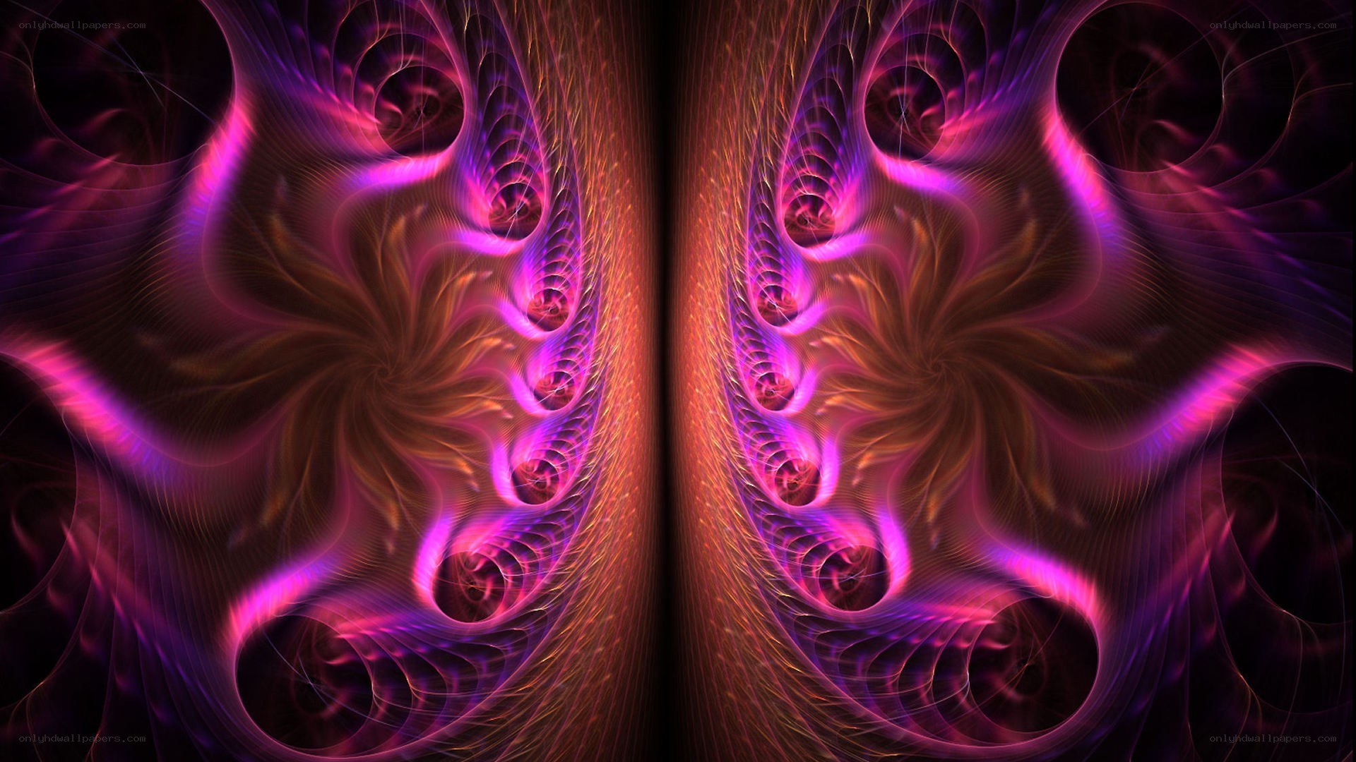 vibrant fractal spiral pattern
