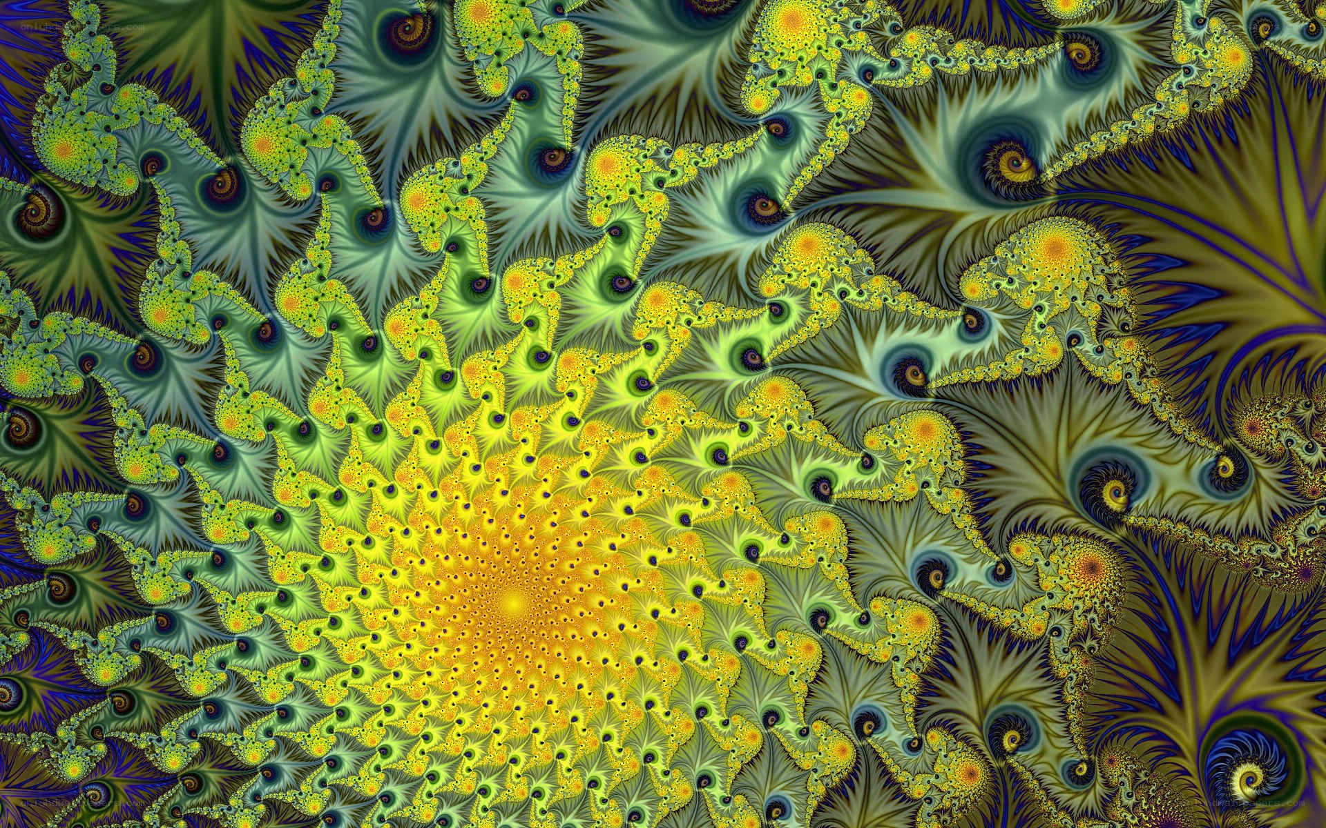 vibrant fractal spiral pattern