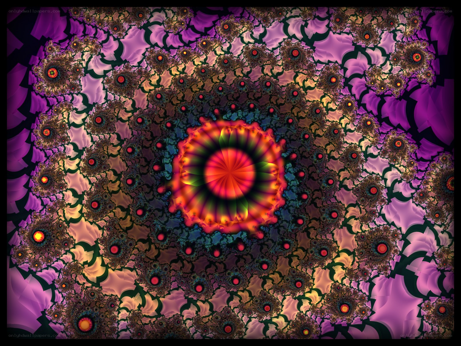 vibrant fractal spiral pattern
