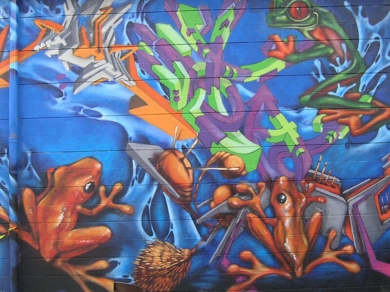 vibrant frog graffiti mural