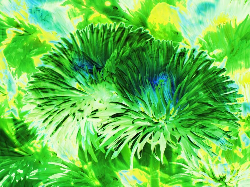 vibrant green abstract art