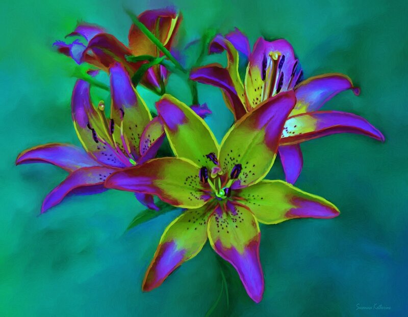 Vibrant Lilies in Bloom — Green