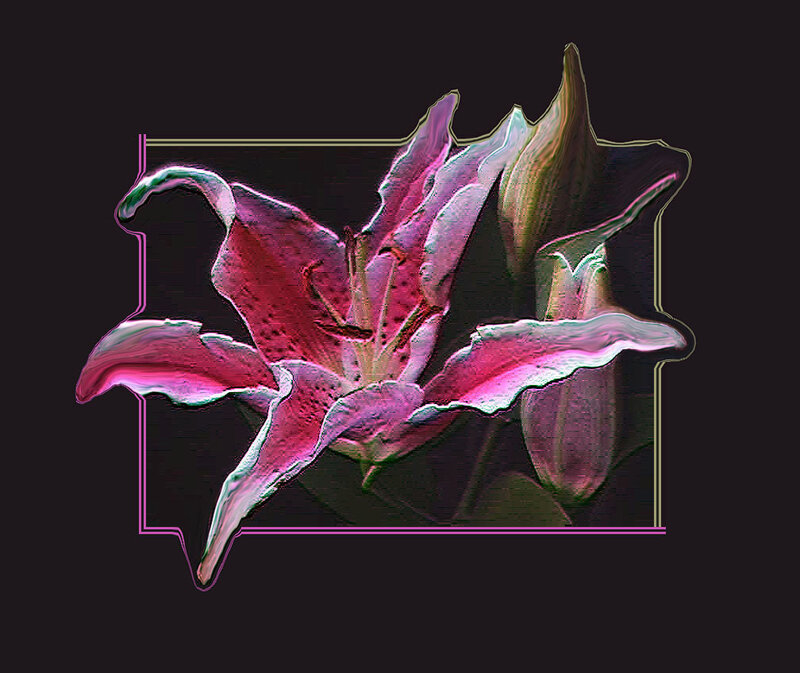 vibrant lily flower art