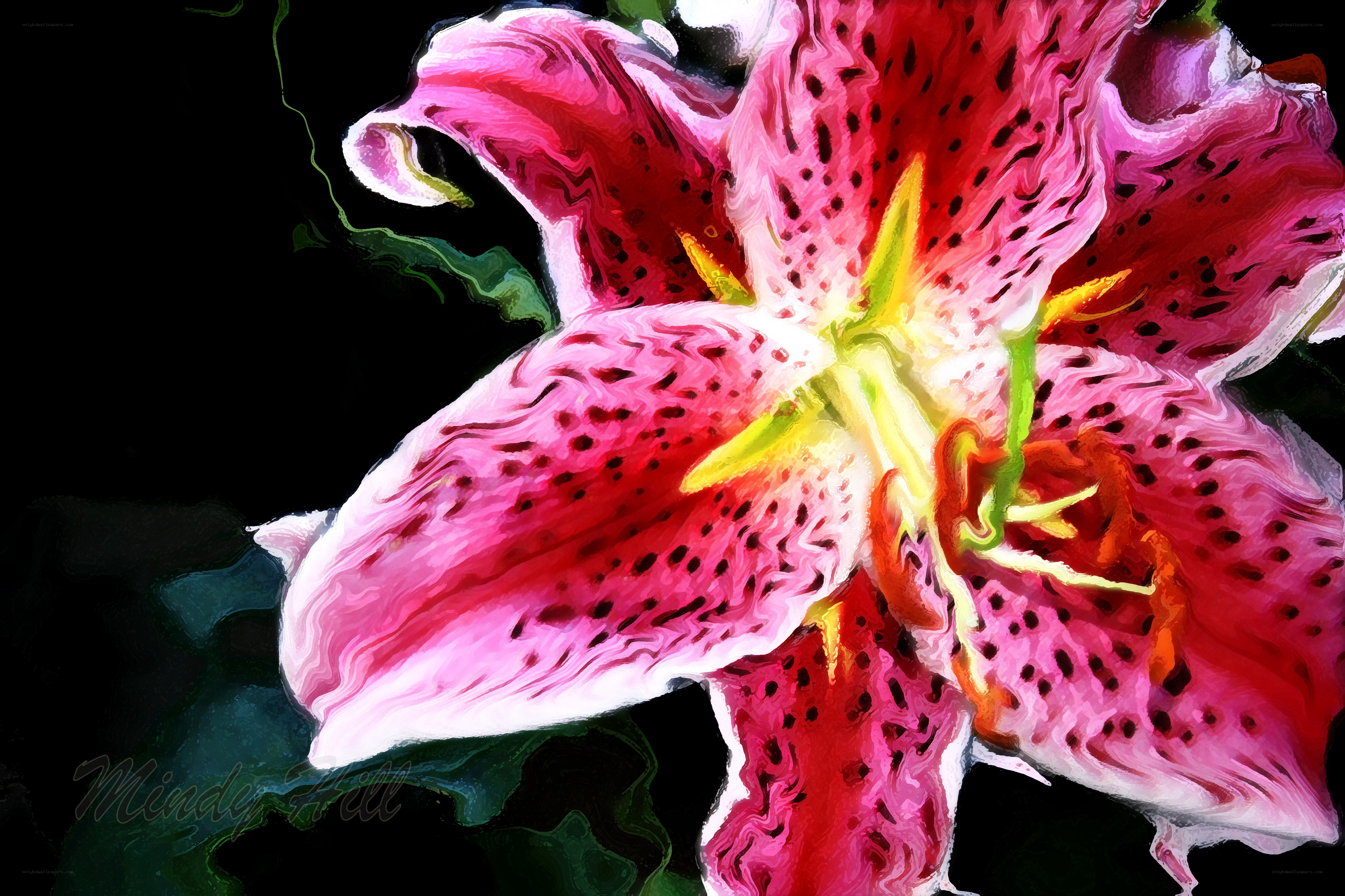 vibrant lily flower close-up