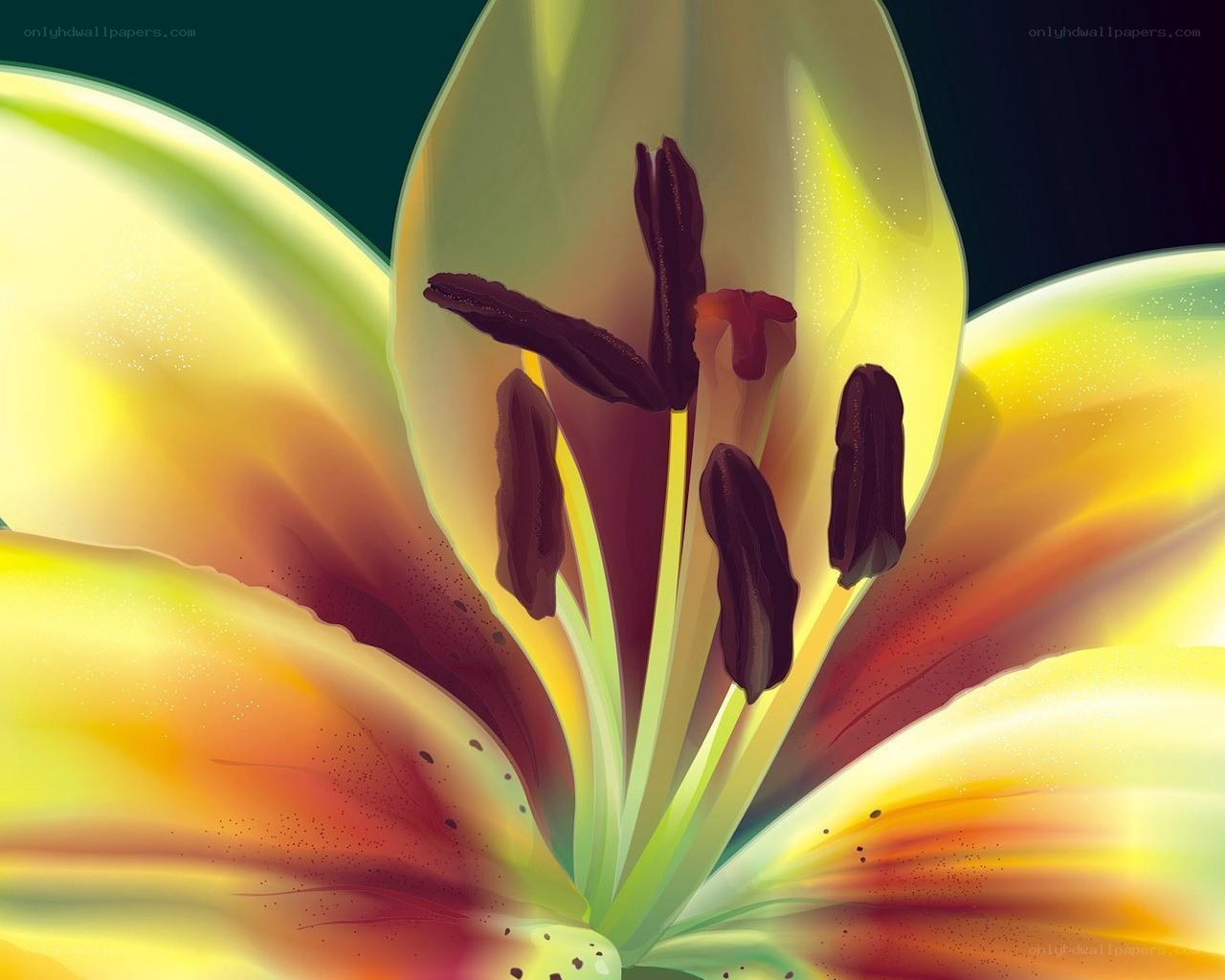 vibrant lily flower close-up