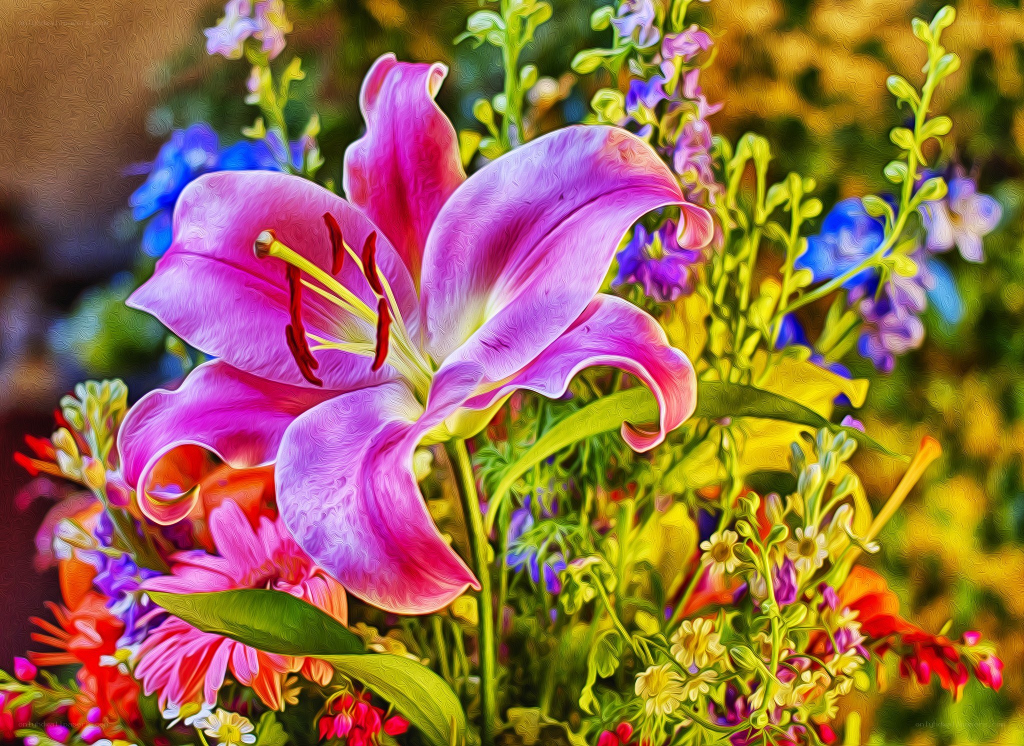 vibrant lily in garden