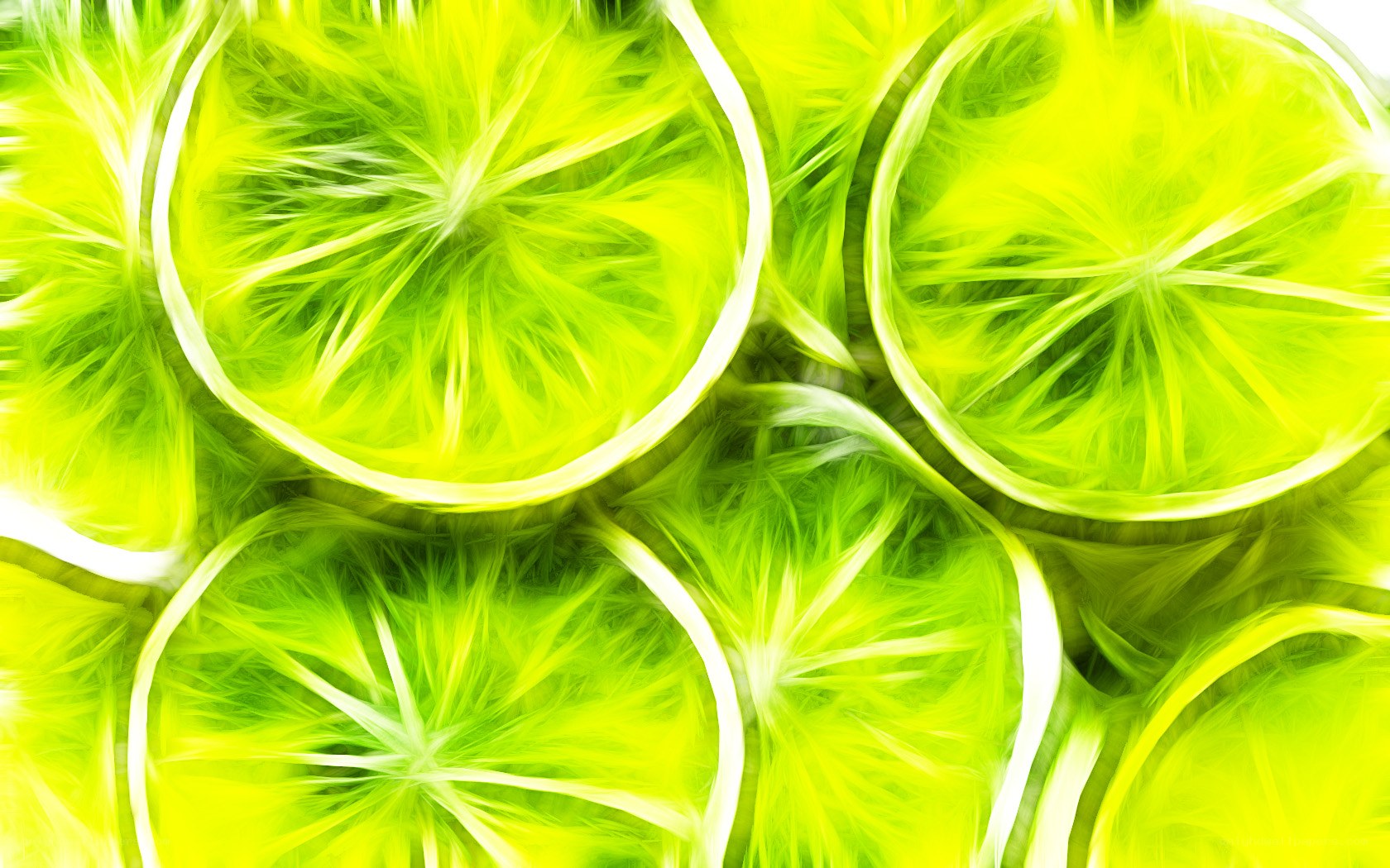 vibrant lime slices