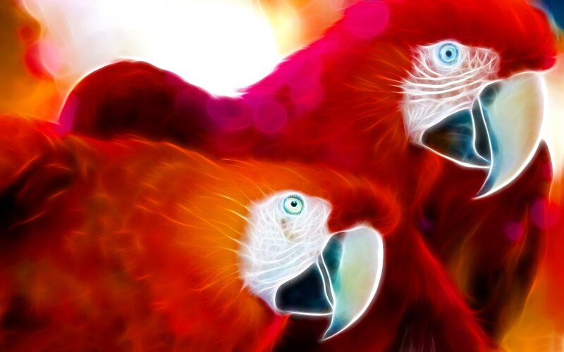 vibrant parrot digital art