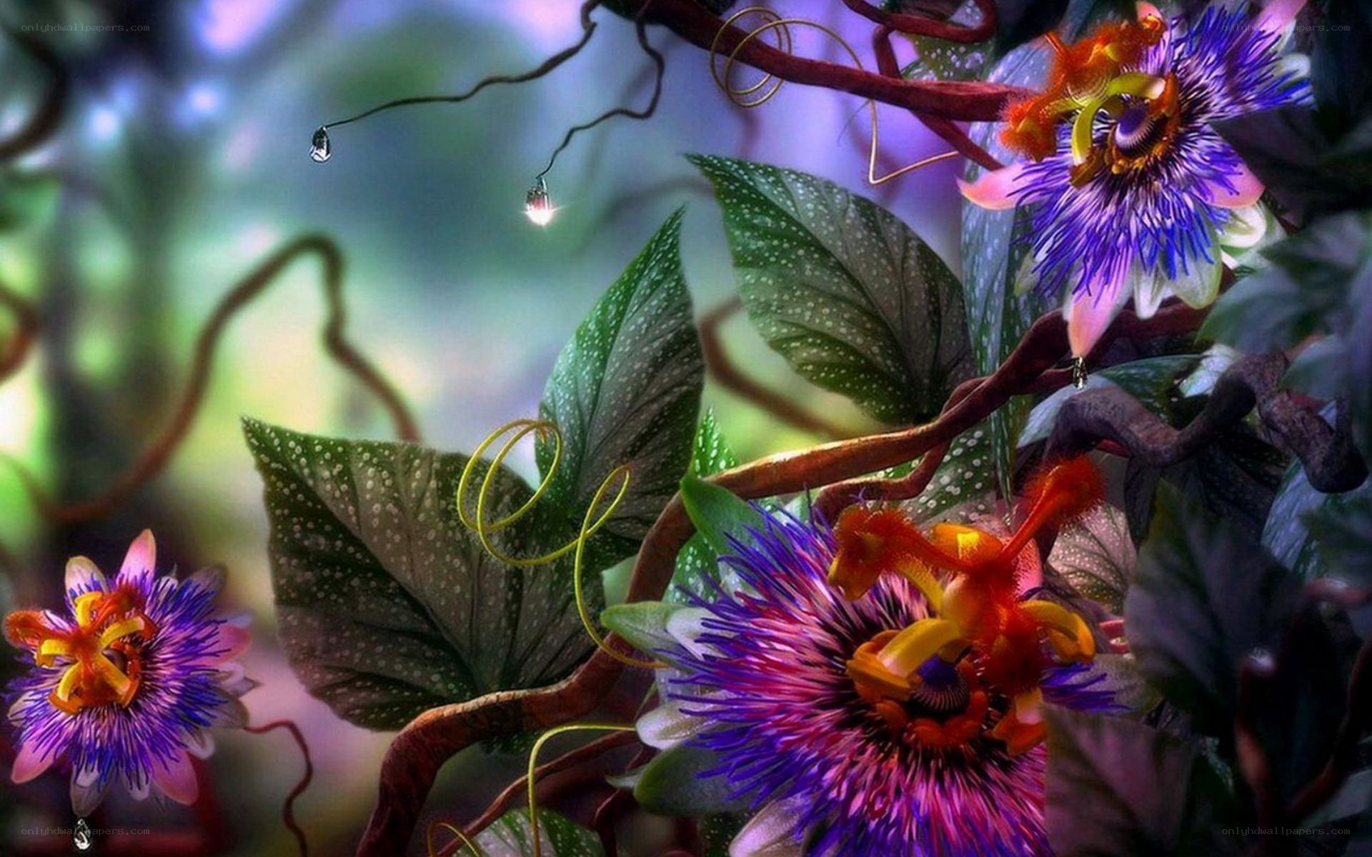vibrant passion flowers in jungle