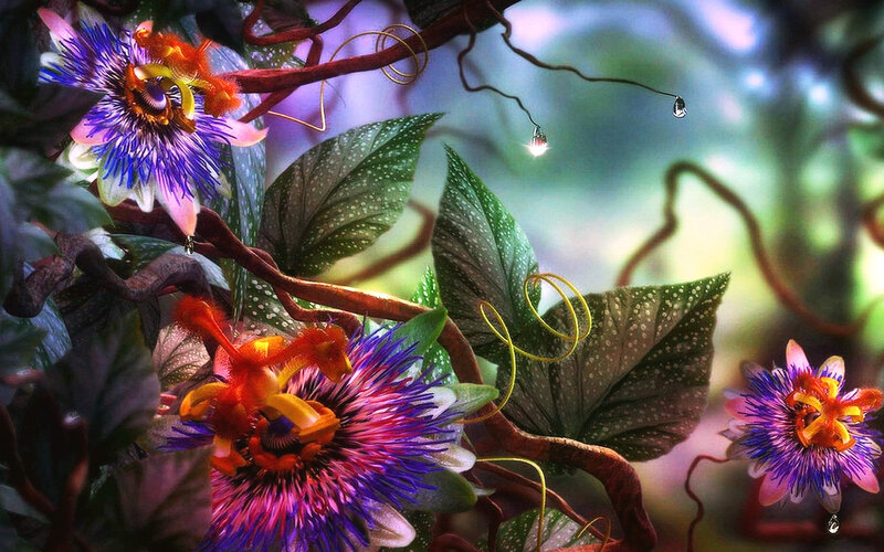 Vibrant passionflower garden