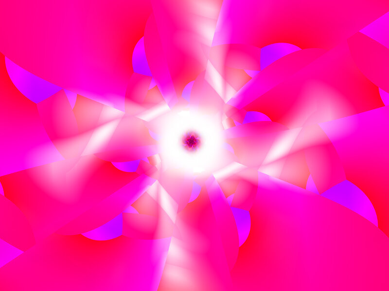 vibrant pink abstract flower