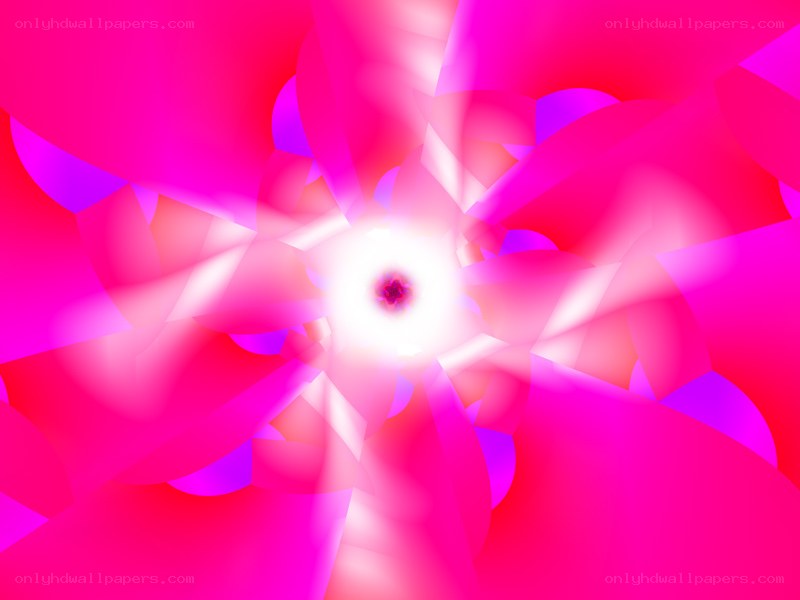 vibrant pink abstract flower