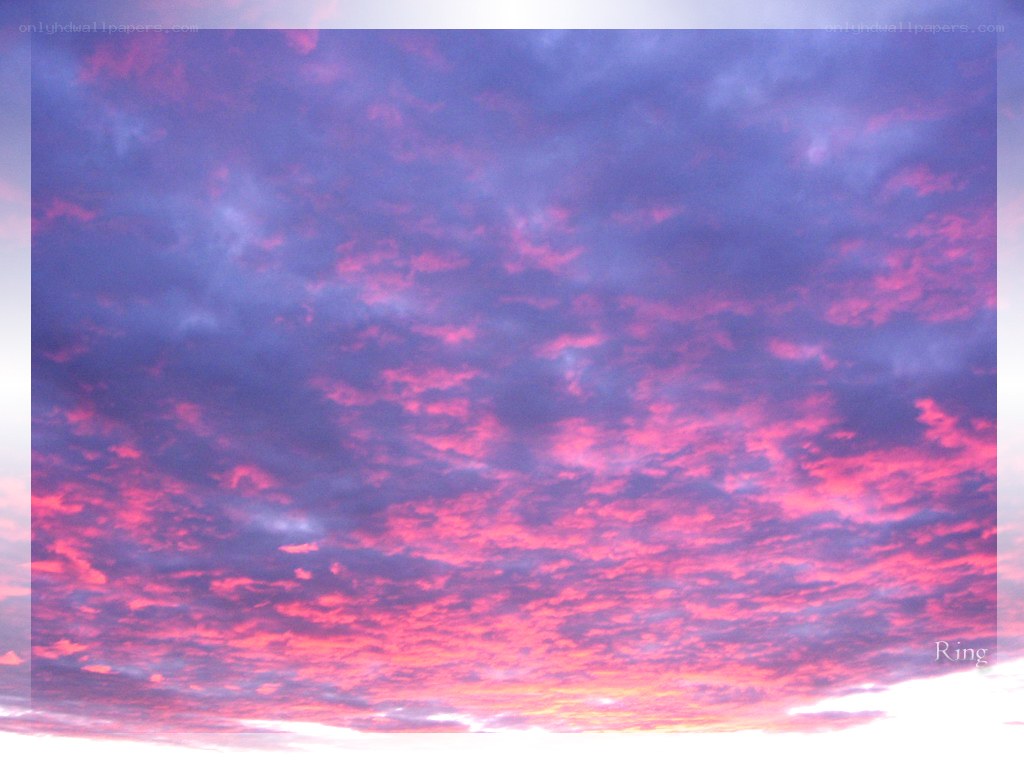 vibrant pink and purple sunset
