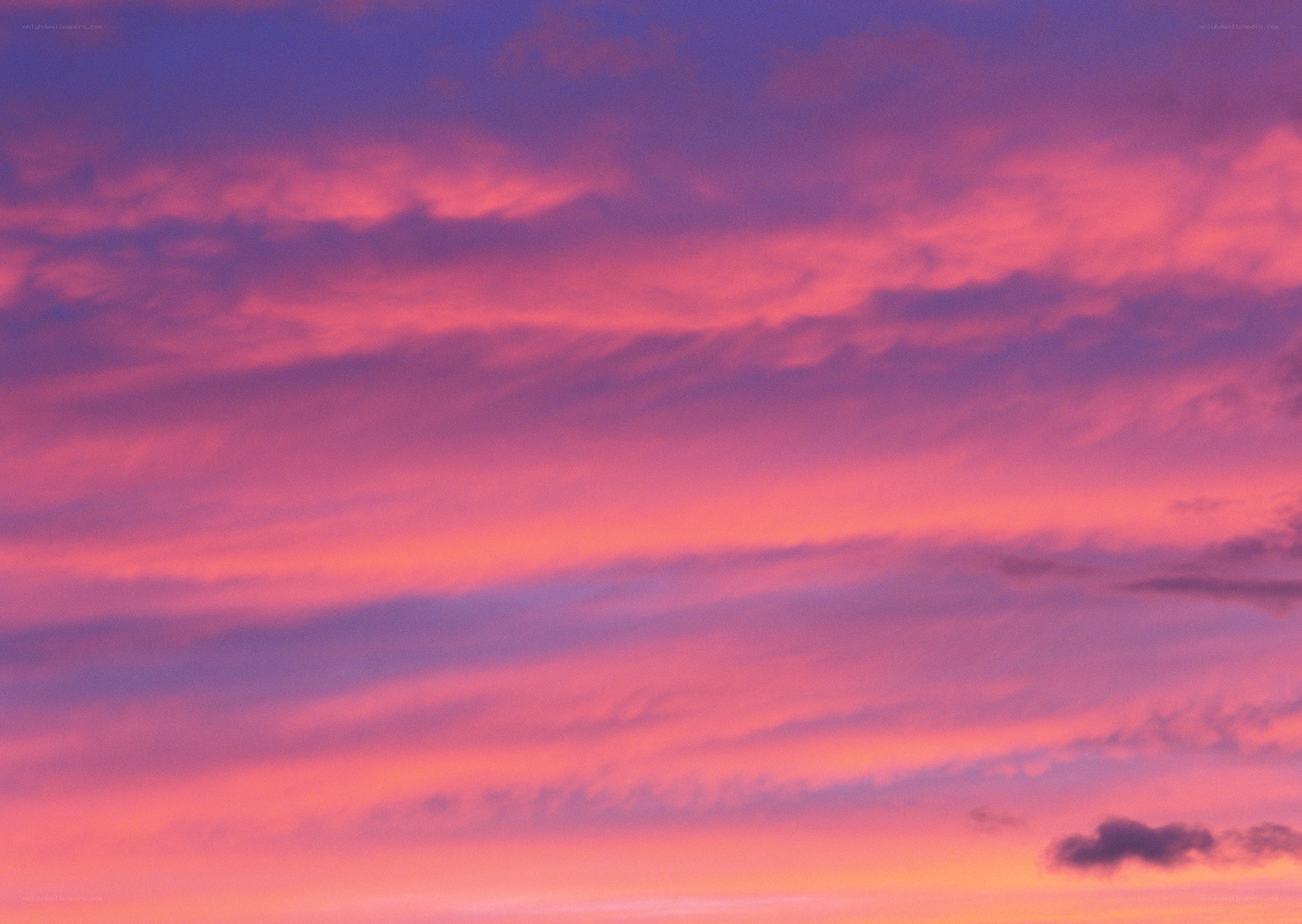vibrant pink and purple sunset