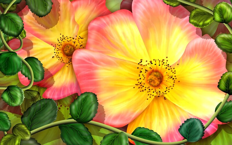 vibrant pink and yellow flowers