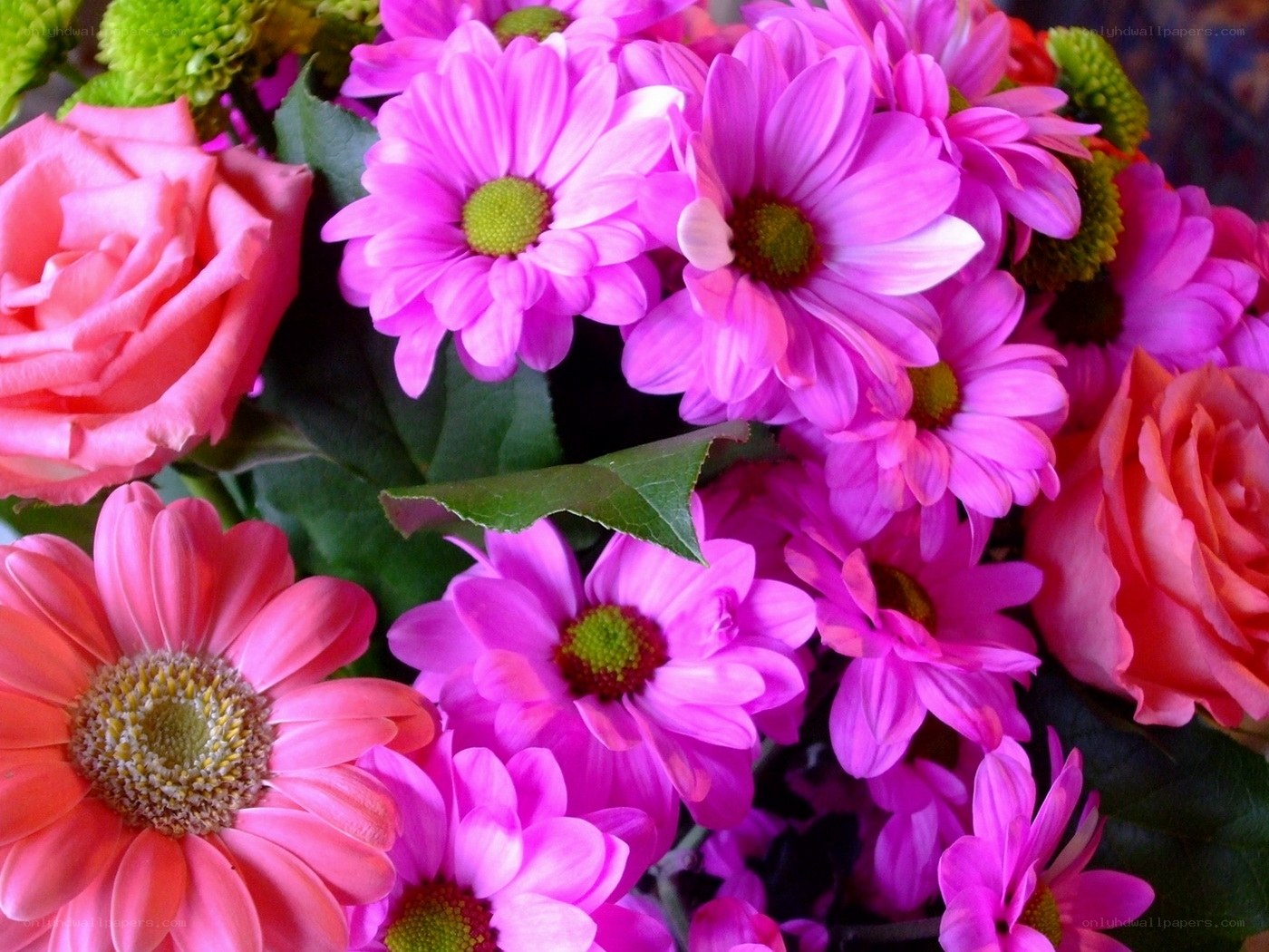 vibrant pink flower bouquet