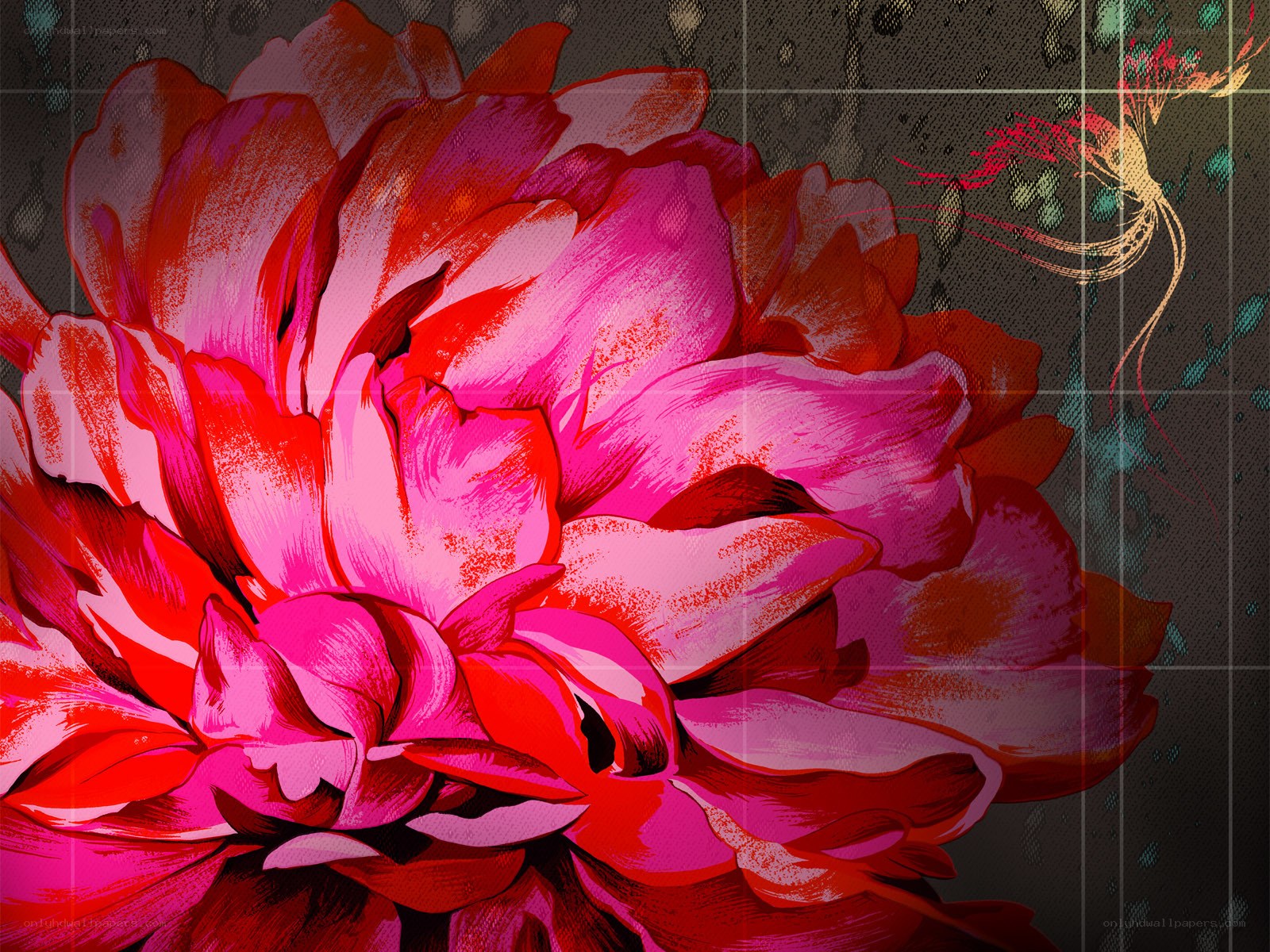 vibrant pink flower illustration