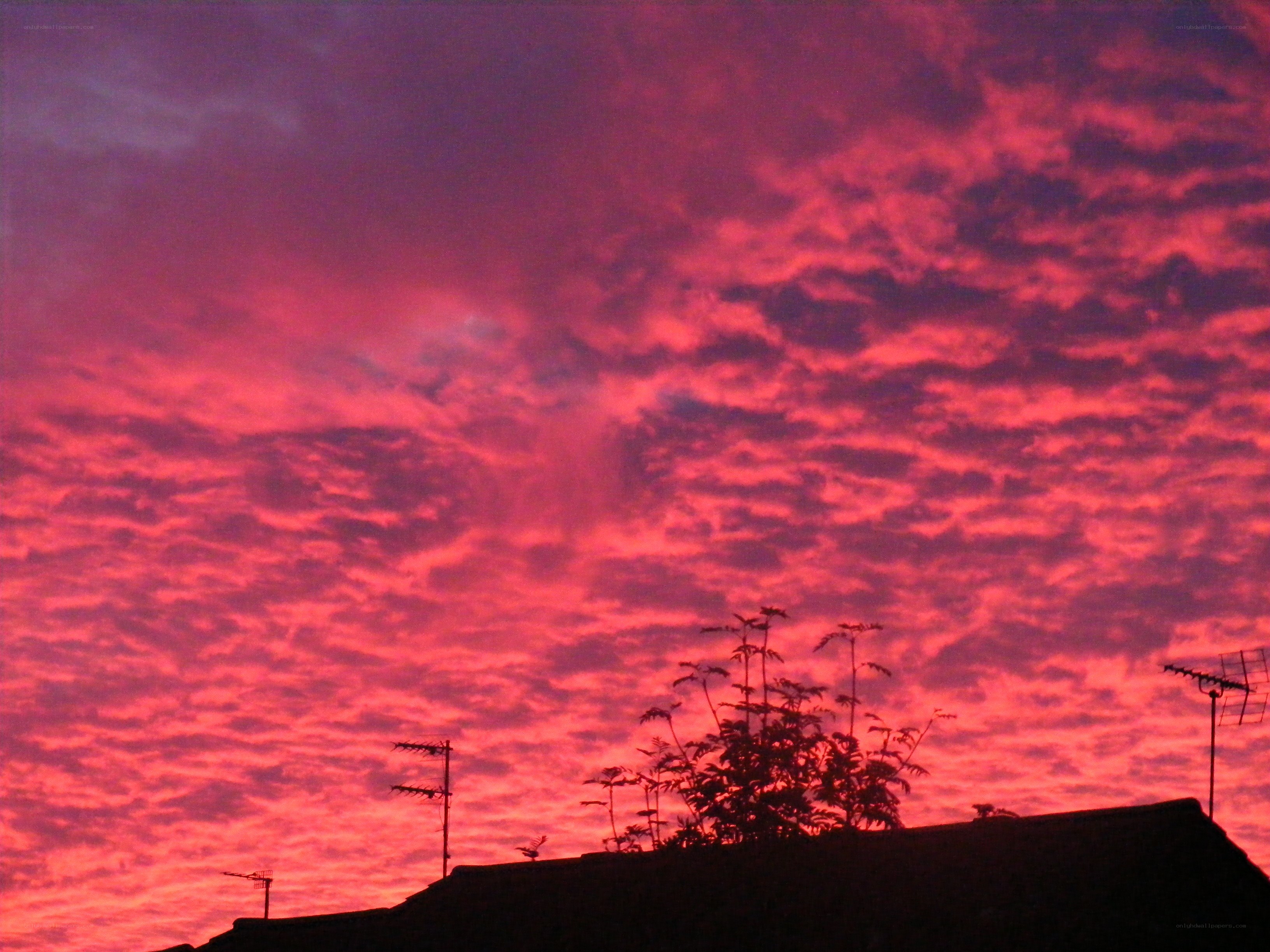 vibrant pink sunset sky
